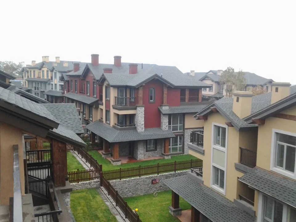 Laminated Asphalt Shingle