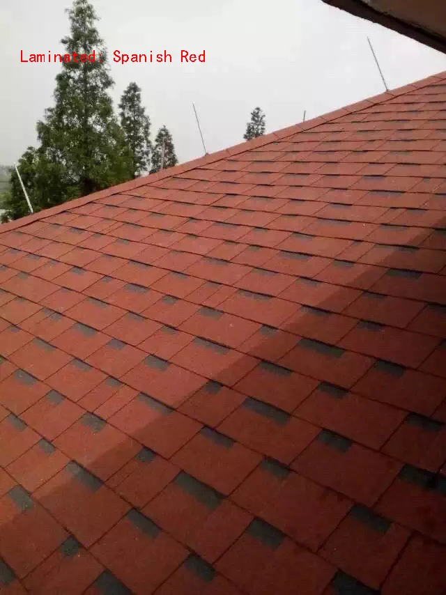Laminated Asphalt Shingle