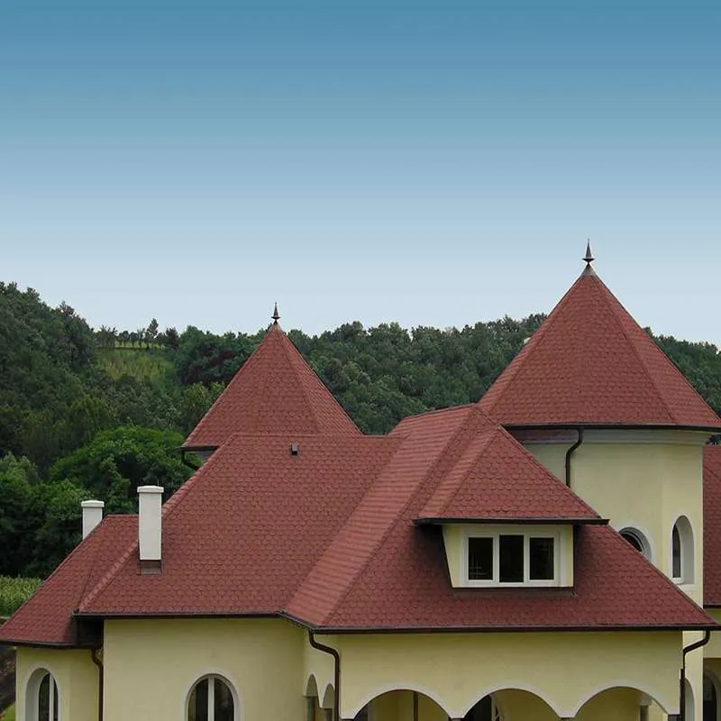 Ancient Black Asphalt Roofing Shingle