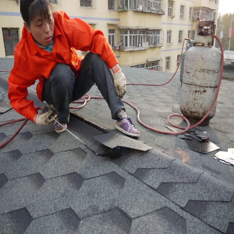 Estate Grey Mosaic Asphalt Roofing Shingle