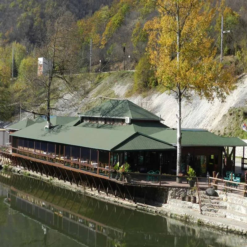 Bardeaux d’asphalte en écailles de poisson vert asiatique